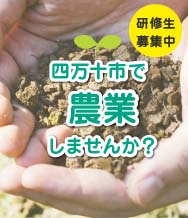 四万十市で農業しませんか？