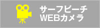 セーフビーチWebカメラ