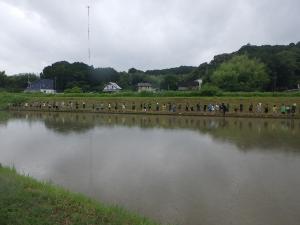 田植えの写真