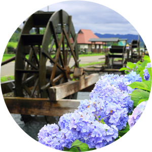 安並水車の里公園