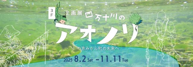 3階企画展　四万十川のアオノリ