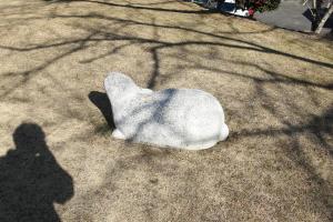 アニマル遊具（うさぎ）