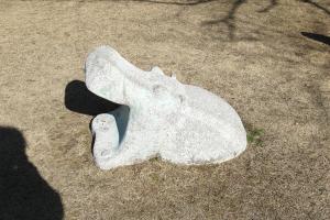 アニマル遊具（カバ）