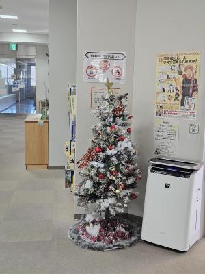 クリスマスツリーの写真