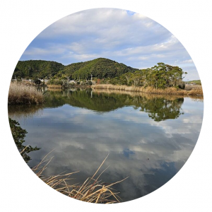 四万十川野鳥自然公園