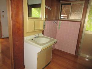 物件番号214の洗面所