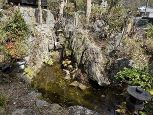 物件番号477の庭