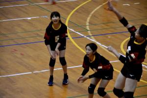 活動(6)