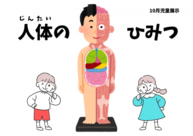 2026年10月児童展示 人体のひみつ ポスター