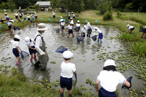 トンボ自然公園の画像2