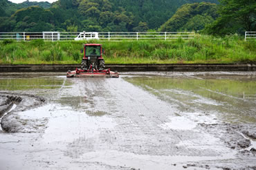 活動報告の画像2