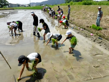 活動報告の画像８