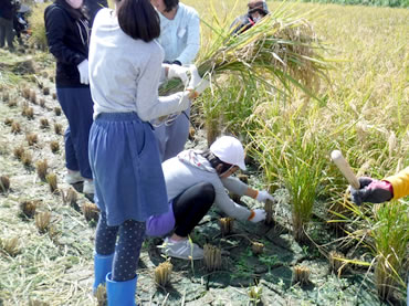 活動報告の画像12