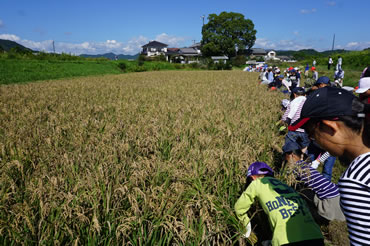 活動報告の画像８