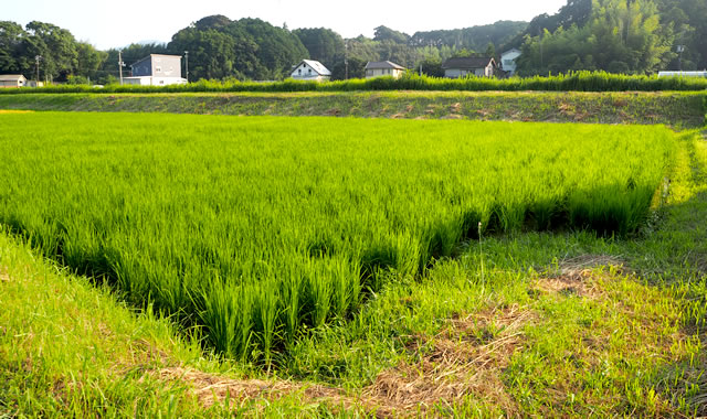 活動報告の画像1０