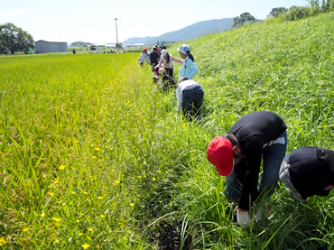 活動報告の画像14