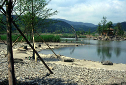 四万十川野鳥自然公園の画像2