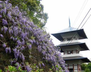 香山寺市民の森の画像1