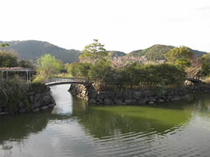 四万十川野鳥公園の画像2