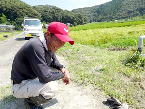 栽培農家の画像３