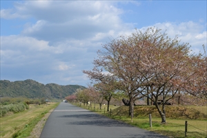 ６日上流コースの写真4