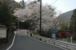 平成24年度開催状況の写真3