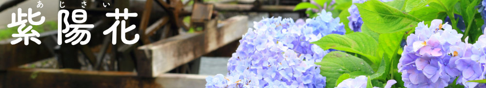 紫陽花と水車の画像
