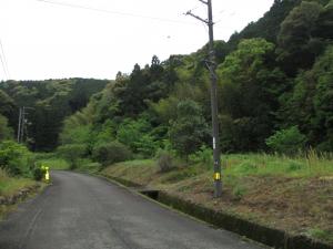 物件番号250の風景の写真