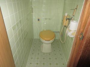 物件番号214のトイレ