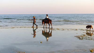 浦宗さんが馬と海辺を歩いている写真