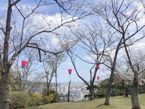 為松公園　街の眺めと桜