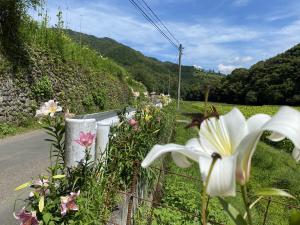 ⑤田ゆり山