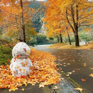 雪だるまの画像