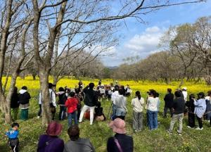 04入田ヤナギ林