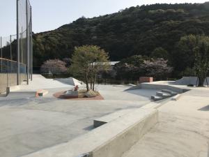 スケートパーク写真
